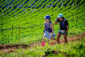 BIB: 2012
                            <button type="button" onclick="openModal(19162776)" class="btn btn-primary btn-sm float-right btn-popup" data-toggle="modal" data-target=".modal-high-quality">
                        <i class="fas fa-shopping-cart"></i> Add to Cart
                    </button>
                                            <button type="button" onclick="isThisMe(19162776, true)" class="btn btn-success btn-sm float-right btn-popup btn-isme hidden" data-toggle="tooltip" data-placement="bottom" title="นี่คือรูปของคุณใช่ไหม คลิกที่นี่เพื่อเอาเข้าอัลบั้ม">
                        <i class="fas fa-plus"></i> Add to album
                    </button>
                    <button type="button" onclick="isThisMe(19162776, false)" class="btn btn-warning btn-sm float-right btn-popup btn-isnotme hidden">
                        <i class="fas fa-ban"></i> Remove from album
                    </button>